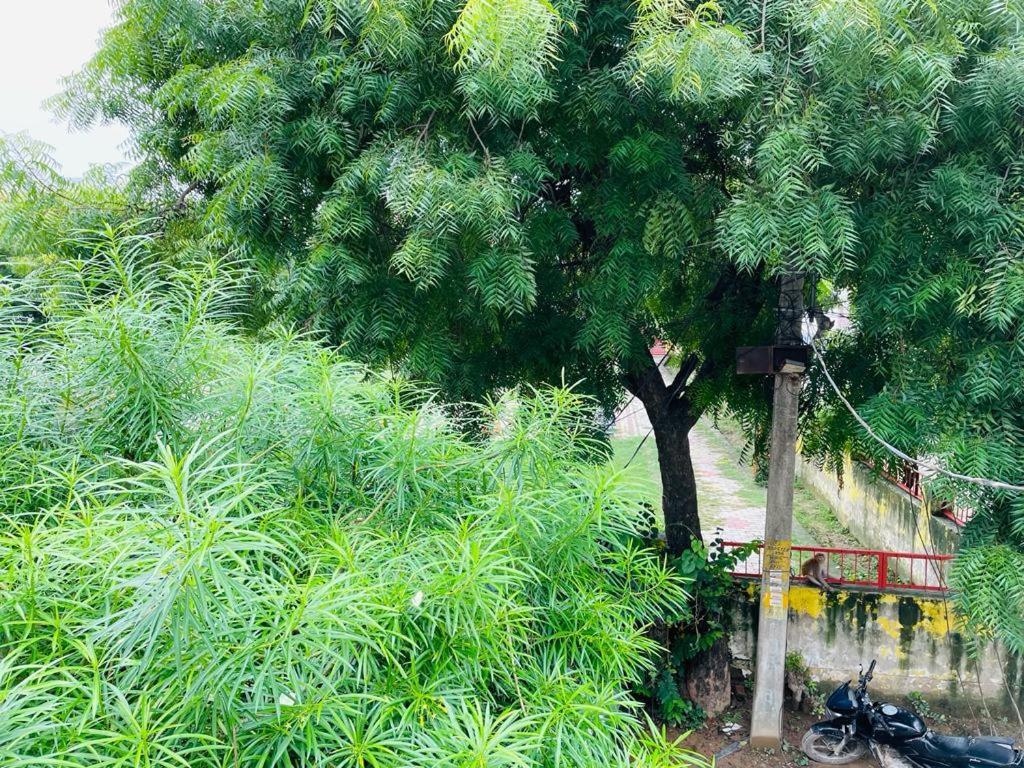 Shree Balaji Homestay Ayodhya Dış mekan fotoğraf
